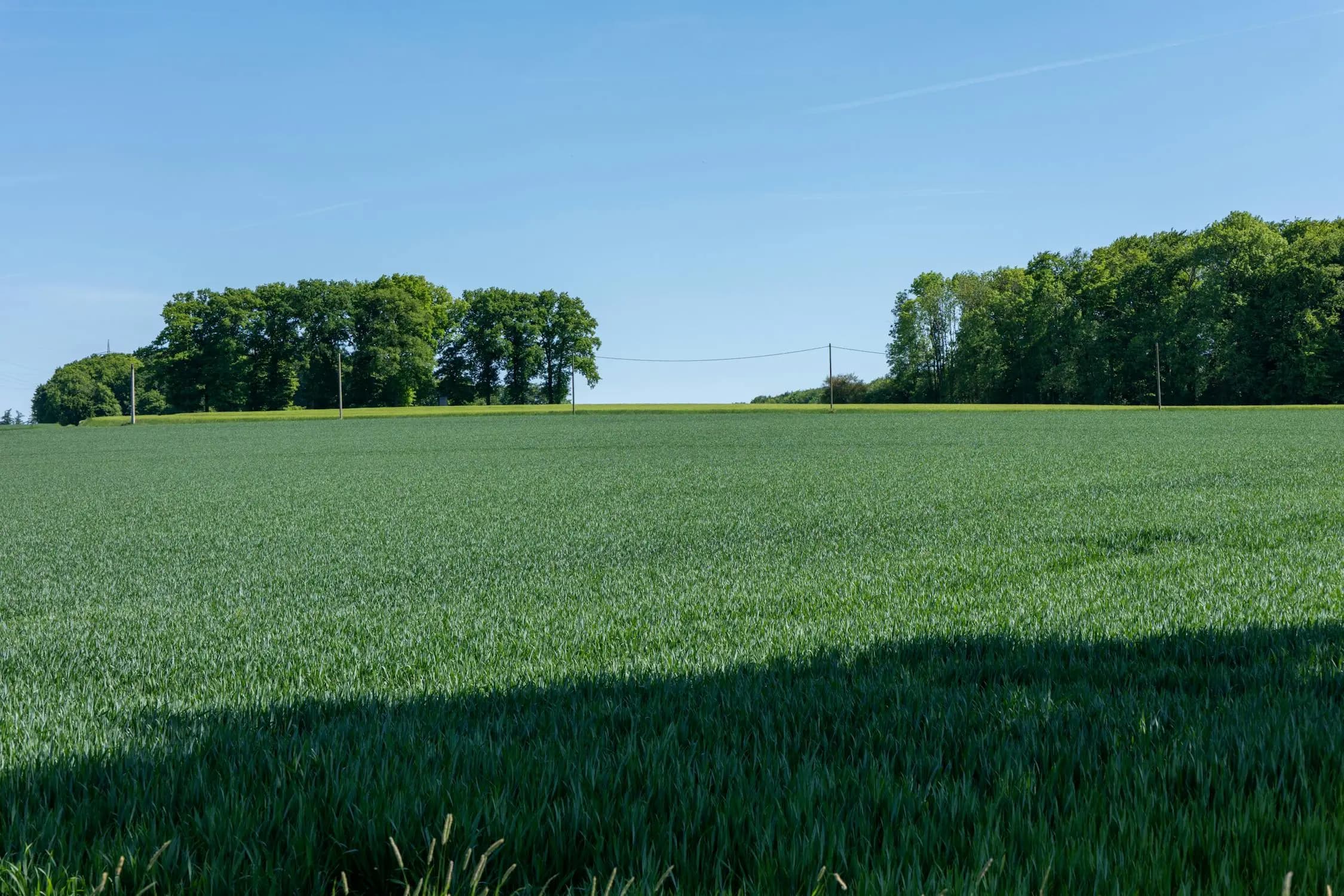 Land Acquisition & Investment Opportunities