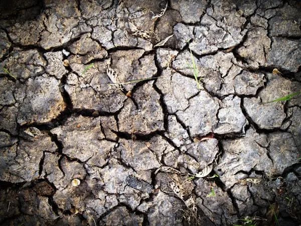 Land Severance